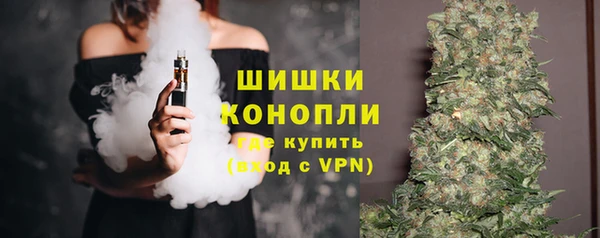 ПСИЛОЦИБИНОВЫЕ ГРИБЫ Алексин