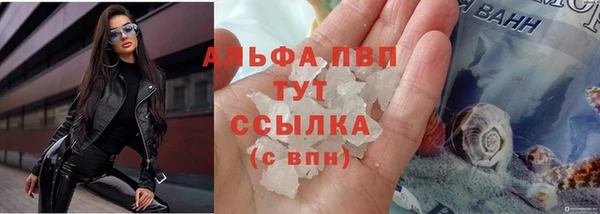 СК Абдулино
