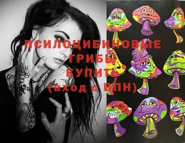 ПСИЛОЦИБИНОВЫЕ ГРИБЫ Алексин