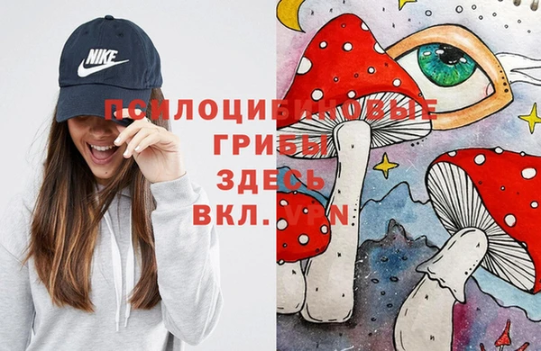 соль ск Алзамай