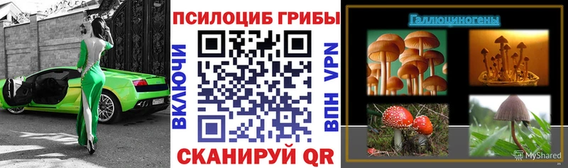кракен ONION  Исилькуль  Псилоцибиновые грибы ЛСД 